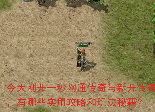 ����տ�һ����ͨ�������¿����棬����Щʵ�ù��Ժ��淨�ؼ���