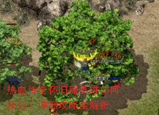 ��Ѫ���滳�ɷ�Ӣ����λ�ȡ����ϸ����ȫ����
