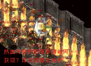 ��Ѫ���滳�ɷ�Ӣ����λ�ȡ����ϸ����ȫ����