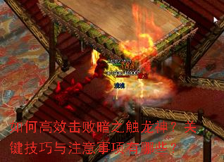 ��θ�Ч���ܰ�֮�����񣿹ؼ�������ע����������Щ��