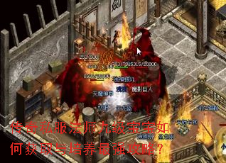 传奇私服法师九级宝宝如何获取与培养最强攻略? 传奇私服法师九级宝宝如何获取与培养最强攻略?