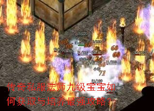 传奇私服法师九级宝宝如何获取与培养最强攻略? 传奇私服法师九级宝宝如何获取与培养最强攻略?