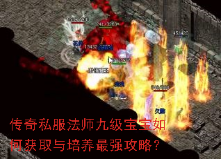 传奇私服法师九级宝宝如何获取与培养最强攻略? 传奇私服法师九级宝宝如何获取与培养最强攻略?