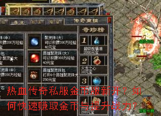 热血传奇私服金币服新开?如何快速赚取金币与提升战力? 热血传奇私服金币服新开?如何快速赚取金币与提升战力?