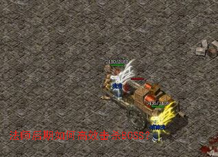 ��ʦ������θ�Ч��ɱBOSS��