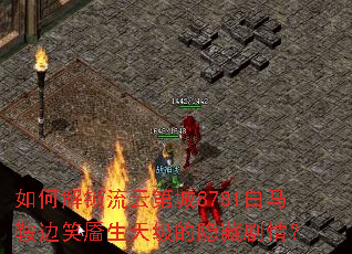 ��ν������Ƶڳ�8781��������Ц�����켶�����ؾ��飿