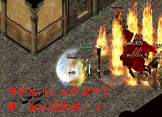 ����˽��ѫ�»�ȡȫ���ԣ������շ�������