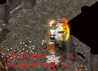 ���渴�Ű��������ţ���Щ������������������