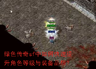 绿色传奇sf中如何快速提升角色等级与装备品质? 绿色传奇sf中如何快速提升角色等级与装备品质?