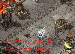 盛大娱乐传奇新手如何快速提升战力与等级? 盛大娱乐传奇新手如何快速提升战力与等级?