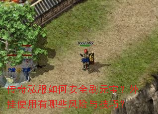 传奇私服如何安全刷元宝?外挂使用有哪些风险与技巧? 传奇私服如何安全刷元宝?外挂使用有哪些风险与技巧?