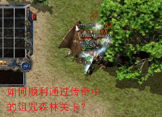 如何顺利通过传奇中的诅咒森林关卡? 如何顺利通过传奇中的诅咒森林关卡?