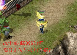 սʿ����BOSS��θ�Ч��λ�뼼�����У�