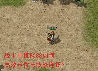 սʿ����BOSS��θ�Ч��λ�뼼�����У�