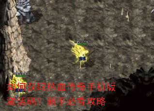 ��λ�ȡ��Ѫ�����ֻ��漤���룿���ֱؿ�����