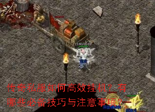 ����˽����θ�Ч�һ�������Щ�ر�������ע�����