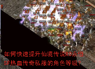 如何快速提升仙境传说RO永恒SF热血传奇私服的角色等级? 如何快速提升仙境传说RO永恒SF热血传奇私服的角色等级?