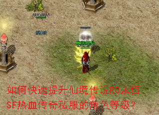 如何快速提升仙境传说RO永恒SF热血传奇私服的角色等级? 如何快速提升仙境传说RO永恒SF热血传奇私服的角色等级?