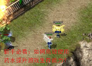 新手必看:如何高效使用药水提升游戏生存能力? 新手必看:如何高效使用药水提升游戏生存能力?