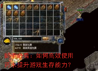 新手必看:如何高效使用药水提升游戏生存能力? 新手必看:如何高效使用药水提升游戏生存能力?