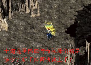 士道龙圣热血传奇私服价格是多少?新手如何快速上手? 士道龙圣热血传奇私服价格是多少?新手如何快速上手?