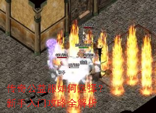 ���湫������ѡ���������Ź���ȫ����