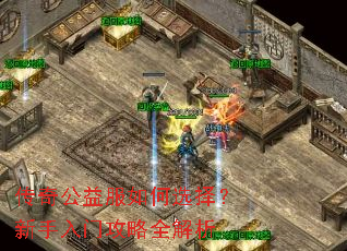 ���湫������ѡ���������Ź���ȫ����