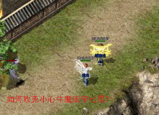 ��ι���С��ţħ�����߲㣿