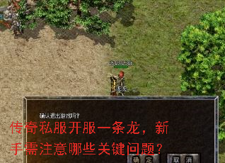 传奇私服开服一条龙,新手需注意哪些关键问题? 传奇私服开服一条龙,新手需注意哪些关键问题?