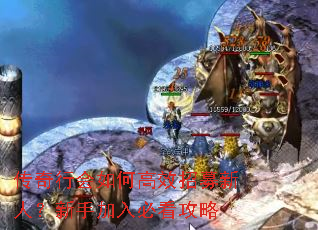 传奇行会如何高效招募新人?新手加入必看攻略 传奇行会如何高效招募新人?新手加入必看攻略