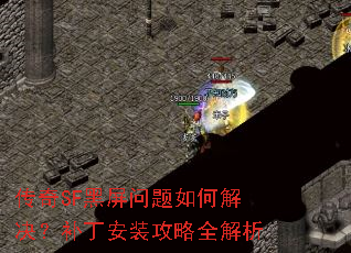 ����SF����������ν����������װ����ȫ����