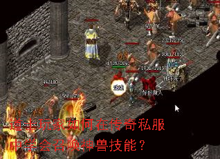 ��ʿ�������ڴ���˽����ѧ���ٻ����޼��ܣ�