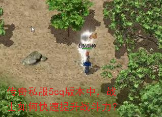 传奇私服5cq版本中,战士如何快速提升战斗力? 传奇私服5cq版本中,战士如何快速提升战斗力?