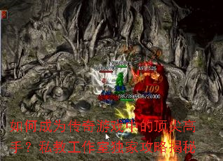 ��γ�Ϊ������Ϸ�еĶ�����֣�˽�̹����Ҷ��ҹ��Խ���