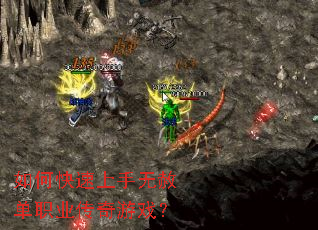 如何快速上手无赦单职业传奇游戏? 如何快速上手无赦单职业传奇游戏?