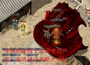 传奇私服战士如何快速升级?高效练级攻略大揭秘 传奇私服战士如何快速升级?高效练级攻略大揭秘