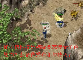 如何快速提升韩版变态传奇角色战力?装备选择有哪些技巧? 如何快速提升韩版变态传奇角色战力?装备选择有哪些技巧?