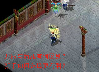 开服与新服有何区别?新手如何选择更有利? 开服与新服有何区别?新手如何选择更有利?