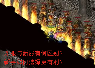 开服与新服有何区别?新手如何选择更有利? 开服与新服有何区别?新手如何选择更有利?