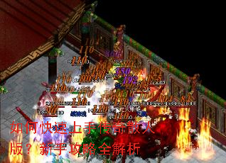 ��ο������ִ���ɢ�˰棿���ֹ���ȫ����