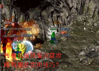 ����˽����ħ���߹�������Щʵ�ü��ɣ�