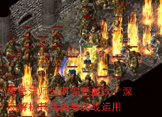 ���淨ʦΪ��ƫ��Ѫ������Ƚ�����������ʵս����