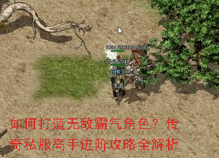 ��δ����޵а�����ɫ������˽�����ֽ��׹���ȫ����