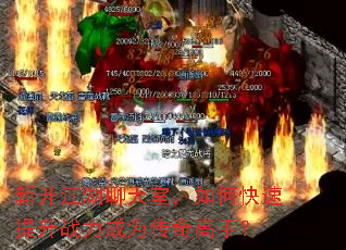 �¿����������ң���ο�������ս����Ϊ������֣�