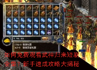 �����ѹۿ���������̾�ȫ���������ٳɹ��Դ����