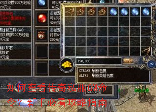 ��β鿴����˽��GM������ֱؿ�����ָ��