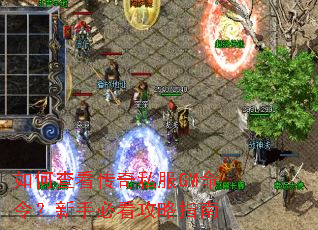 如何查看传奇私服GM命令?新手必看攻略指南 如何查看传奇私服GM命令?新手必看攻略指南