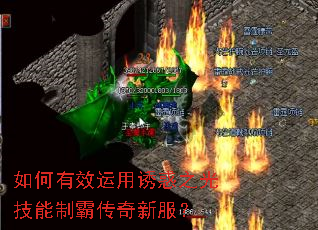 �����Ч�����ջ�֮�⼼���ưԴ����·���