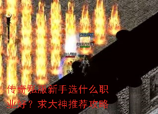 ����˽������ѡʲôְҵ�ã�������Ƽ�����