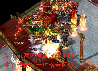 �������Ϊ����ѡսʿְҵ������սʿ����ȫ����